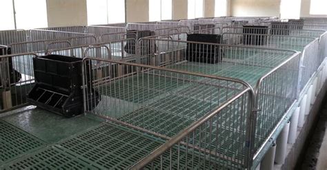 slatted floor for pigs|Flooring .